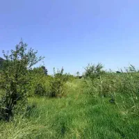 2تا-250متری-زمین-مسکونی