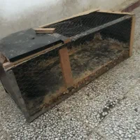 قفس پرنده