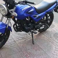 برمودا dy150 طرح باکسر