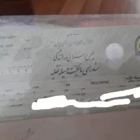 موتور بنلی برقی|موتورسیکلت|پاکدشت, پاکدشت (مامازند)|دیوار
