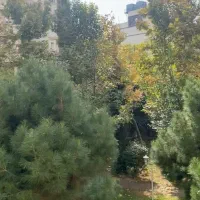 الهیه-2ویلای1000-متری-استانبول-و-چناران-پهنه-باغ