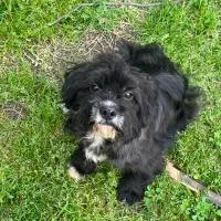 واگذاری  توافقی