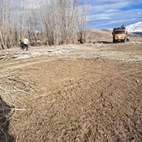 خرید چوب ودرخت|خدمات باغبانی و درختکاری|خرم‌آباد, |دیوار