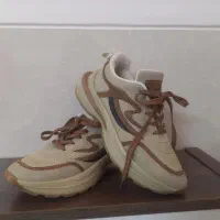 کفش اسپورت|کیف، کفش، کمربند|اشکذر, |دیوار