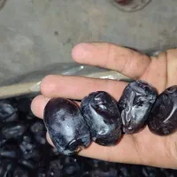 خرمابم|خوردنی و آشامیدنی|مشهد, مصلی (کارمندان اول)|دیوار