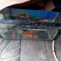 آکواریوم مورب