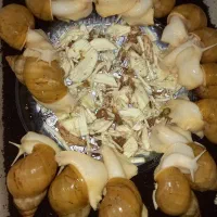 واگذاری ۱۵۰ حلزون مولد آفریقایی|خزنده|کرج, گوهردشت|دیوار