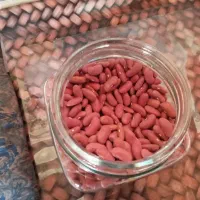 فروش لوبیا کپسولی قرمز قلمی