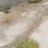زمین مسکونی ۳۰۰متری باشت