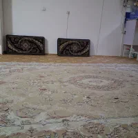 پشتی با فرش 700شانه