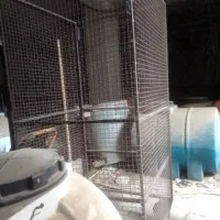 قفس مرغ .پرنده