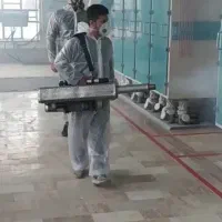 سم پاشی ساس سوسک سمپاش موش تضمینی فقط فقط در مرحله|خدمات نظافت|مشهد, اروند|دیوار