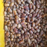 خاش فروش|خوردنی و آشامیدنی|خاش, |دیوار