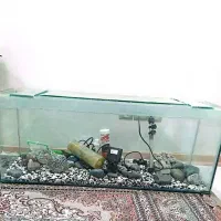یک عدد آکواریوم به همراه وسایل