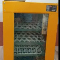 دستگاه جوجه کشی مدبر|لوازم جانبی حیوانات|قم, شهرک خودرو|دیوار