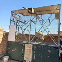 حیوانات