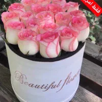 باکس و دسته گل رز هلندی‌ ممتاز باقیمت باورنکردنی