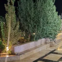 فروش-دو-قطعه-پلاک-مرداویج-و-چهار-باغ-بالا-کاویان