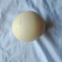 سنگ الماس اسیاب