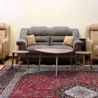 اجاره واحد آپارتمان ۱۰۰ متری تک خواب. امامت ۲۸.