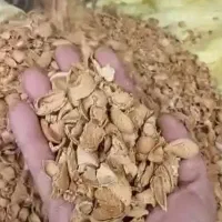 پوست بادام سنگی