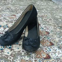 کفش|کیف، کفش، کمربند|لردگان, |دیوار