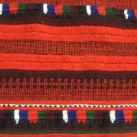 این زیح همراه بادوچرخه دزدیده شده