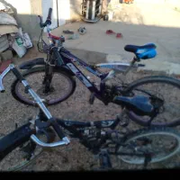 دو عدد دوچرخه