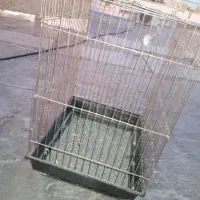 قفس|لوازم جانبی حیوانات|ایرانشهر, |دیوار