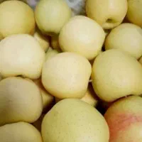 سیب درجه یک رنگ قالب درش