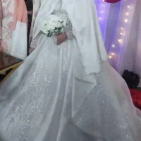 مدل عربی شاین دودانتل