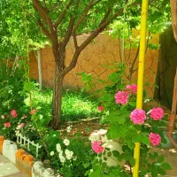 باغ ویلا|فروش خانه و ویلا|مشهد, لک لک|دیوار