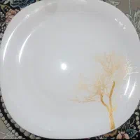 آکروپال دینو