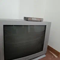 تلویزیون