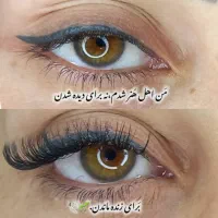 مدل اکستنشن