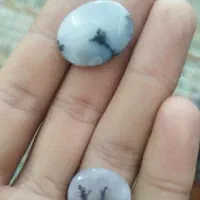 سنگ شجر|جواهرات|اردبیل, |دیوار