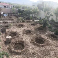 انجام تمامی خدمات باغبانی و فضای سبز ومحوطه|خدمات باغبانی و درختکاری|شیراز, شهرک گلستان|دیوار