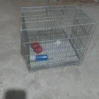 قفس پرنده