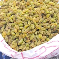 کشمش سبز تازه امسالی