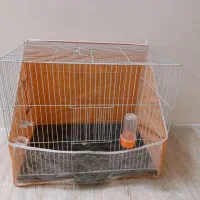 قفس بزرگ مرغ عشق