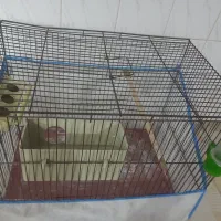 قفس پرنده سایزبزرگ