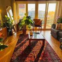 هم خونه میشم