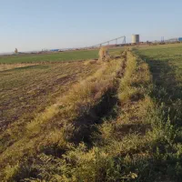 مقدار ۱۲ساعت آب چاه موتور ملکی  ب همراه زمین|فروش زمین و ملک کلنگی|جلگه رخ, |دیوار