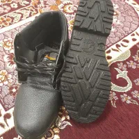 کفش کار|کیف، کفش، کمربند|بیرجند, |دیوار