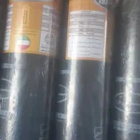 باسلام ایزوگام احمدی