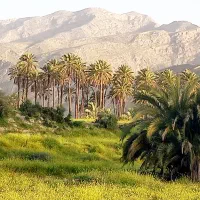 فروش-ومشارکت-درساخت