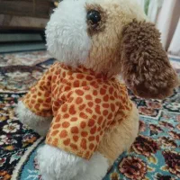 عروسک نو|اسباببازی بچه|ساوه, |دیوار