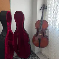 فروش ویولنسل