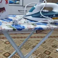 اتوبخارمکسی همراه بامیز