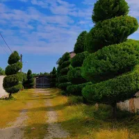 جویای کار سرایداری هستم